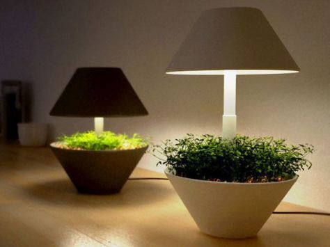 productcollection007桌面植物灯系列为你的生活添光加色