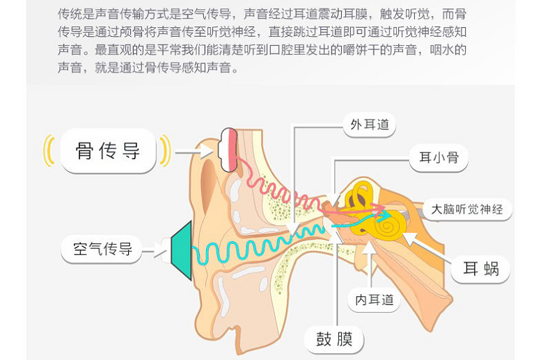 丽音美型骨动亦可传情kscat骨传导蓝牙耳机体验记