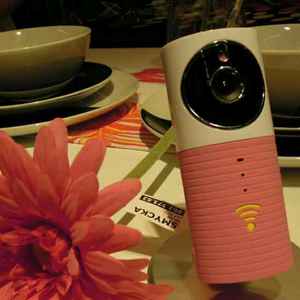 看家王18191581972