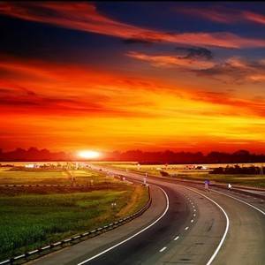 马里布海的鲨鱼