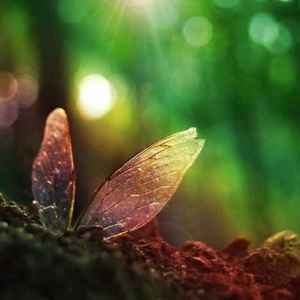 ovyxKtyI-GHQv_tkWboBCFBjWHs0