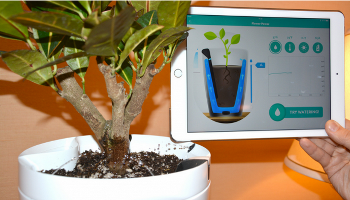 Parrot 植物传感器