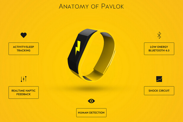 PAVLOK——一个私人教练可穿戴