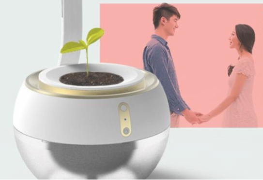 后花园 智能情侣盆栽