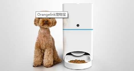 Orangelink 宠物宝