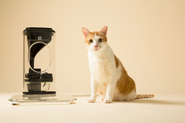 Bistro智能喂猫器 可以远程控制猫咪的饮食