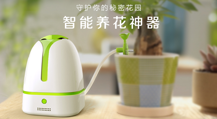 花小白