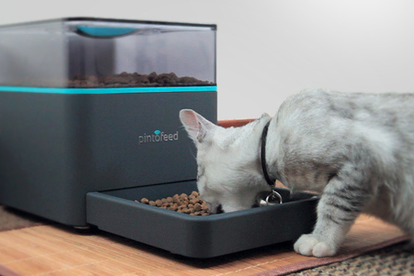 Pintofeed智能喂食器