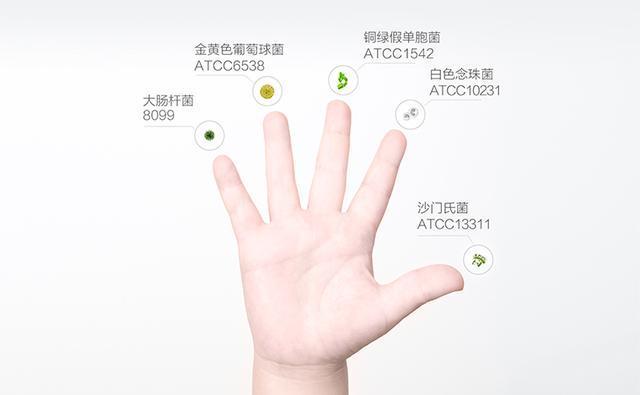 小吉泡沫洗手机