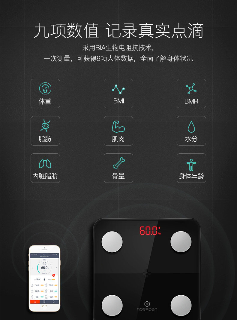 NOERDEN MINIMI智能体脂秤