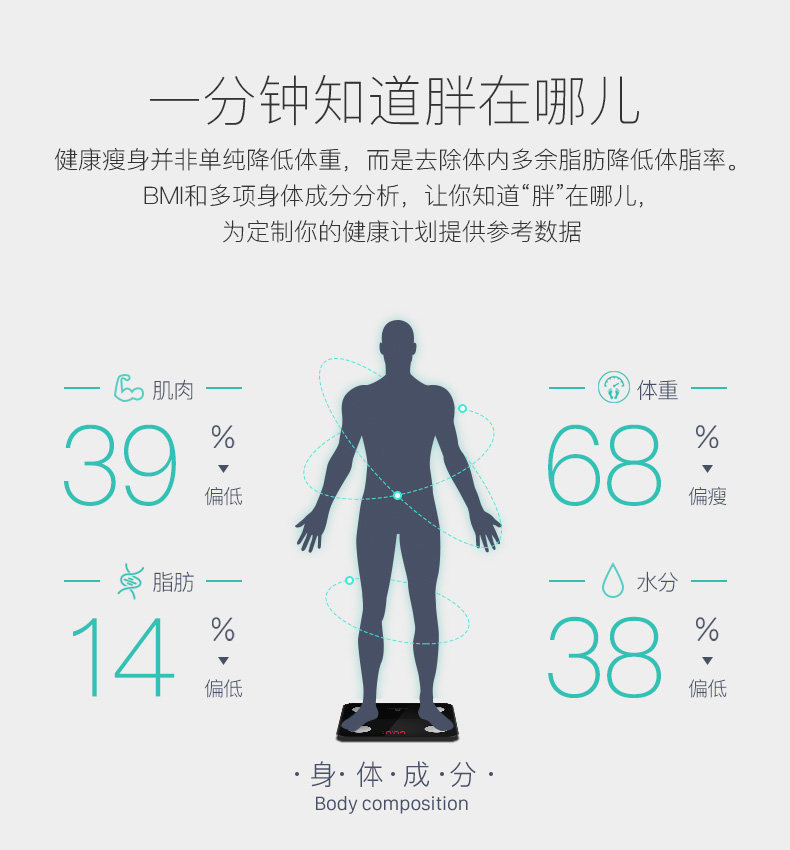 NOERDEN MINIMI智能体脂秤