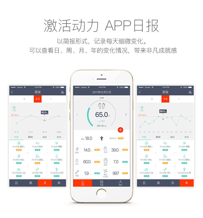 NOERDEN MINIMI智能体脂秤