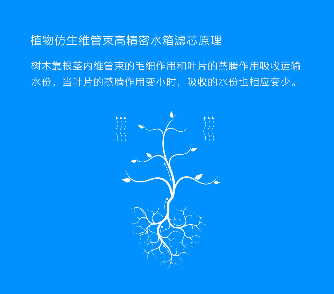 石头扫地机器人