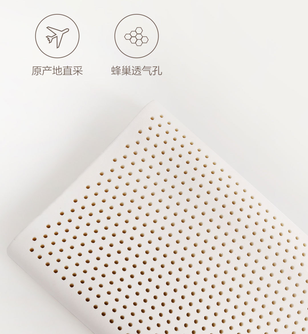8H护颈乳胶枕Z2