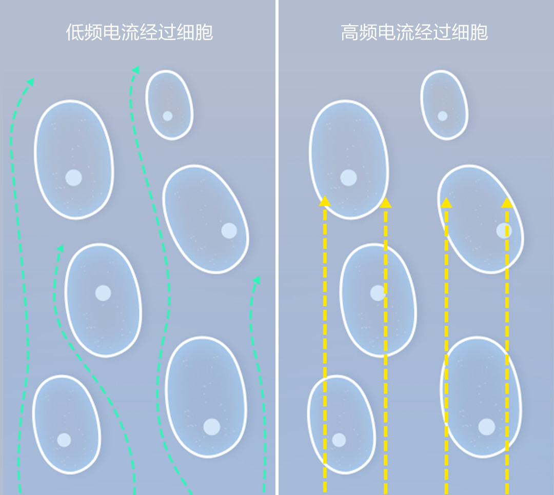 云麦好轻mini2 智能体脂秤
