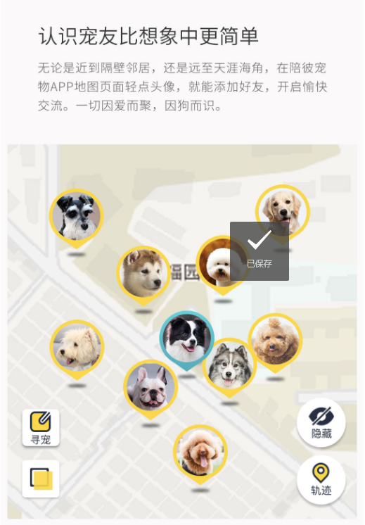陪彼宠物狗狗定位器