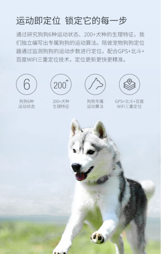 陪彼宠物狗狗定位器