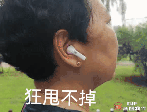 太火鸟